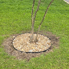Clean-Up-Project-Conway-SC 3